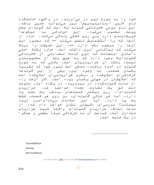 با شکوه ترین نمایش روی زمین - نمونه اول - جزیره کتاب های الکترونیکی